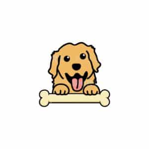 00067 TS BLANC Golden Retriever