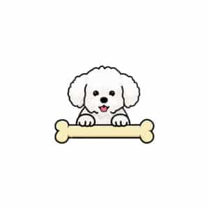00076 TS BLANC Bichon