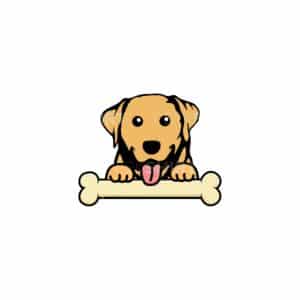 00079 TS BLANC Labrador