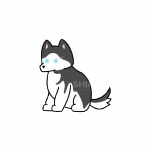 00094 TS BLANC Husky