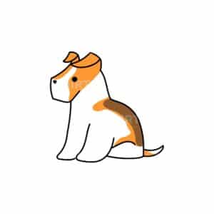 00097 TS BLANC Fox terrier