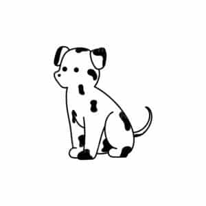 00106 TS BLANC Dalmatien