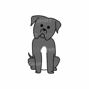 00133 TS BLANC Cane corso