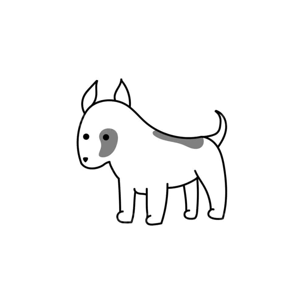 00136 TS BLANC Bull terrier