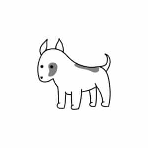 00136 TS BLANC Bull terrier