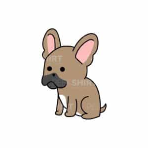 00145 TS BLANC Bouledogue français