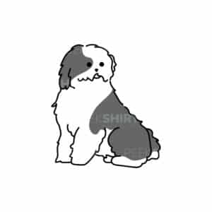 00157 TS BLANC Bobtail