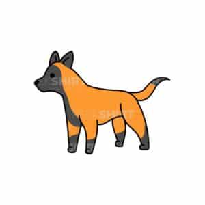 00160 TS BLANC Malinois
