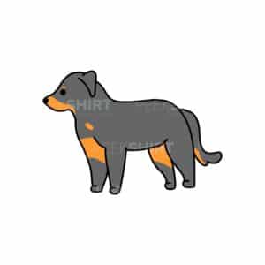 00166 TS BLANC Beauceron