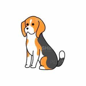 00169 TS BLANC Beagle