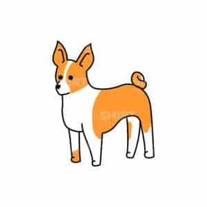 00172 TS BLANC Beagle