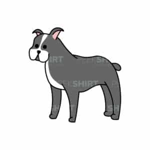 00175 TS BLANC Pitbull