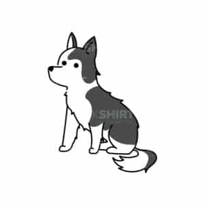 00181 TS BLANC Pomsky