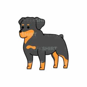 00187 TS BLANC Rottweiler