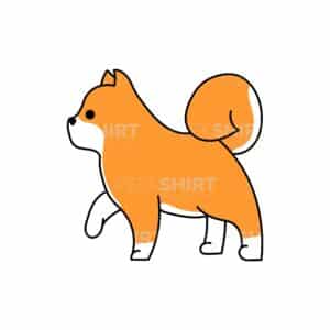 00202 TS BLANC Shiba inu