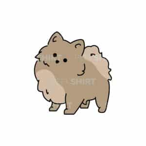 00208 TS BLANC Spitz