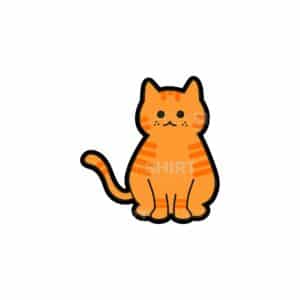 00226 TS BLANC Chat roux