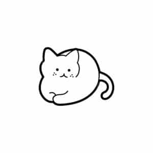 00235 TS BLANC Chat blanc