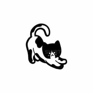 00238 TS BLANC Chat blanc et noir