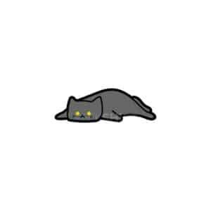 00244 TS BLANC Chat chartreux