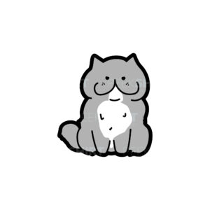 00250 TS BLANC Chat persan