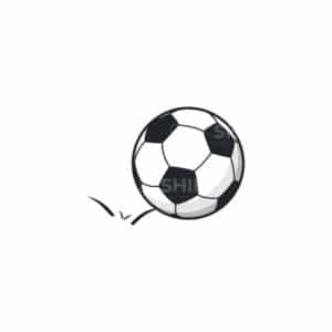 00289 TS BLANC Ballon de foot