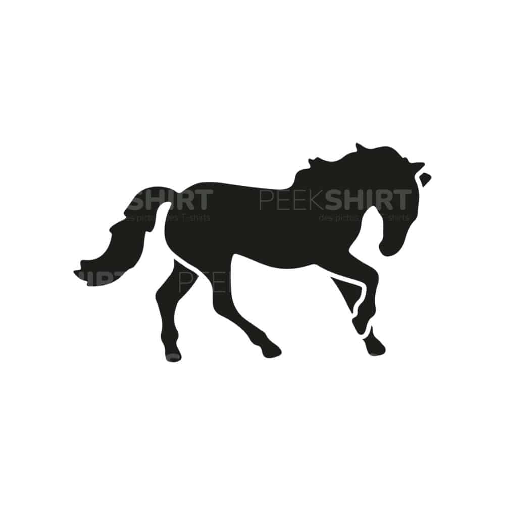 00634 TS BLANC cheval
