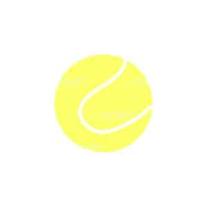 00637 TS BLANC Balle de tennis