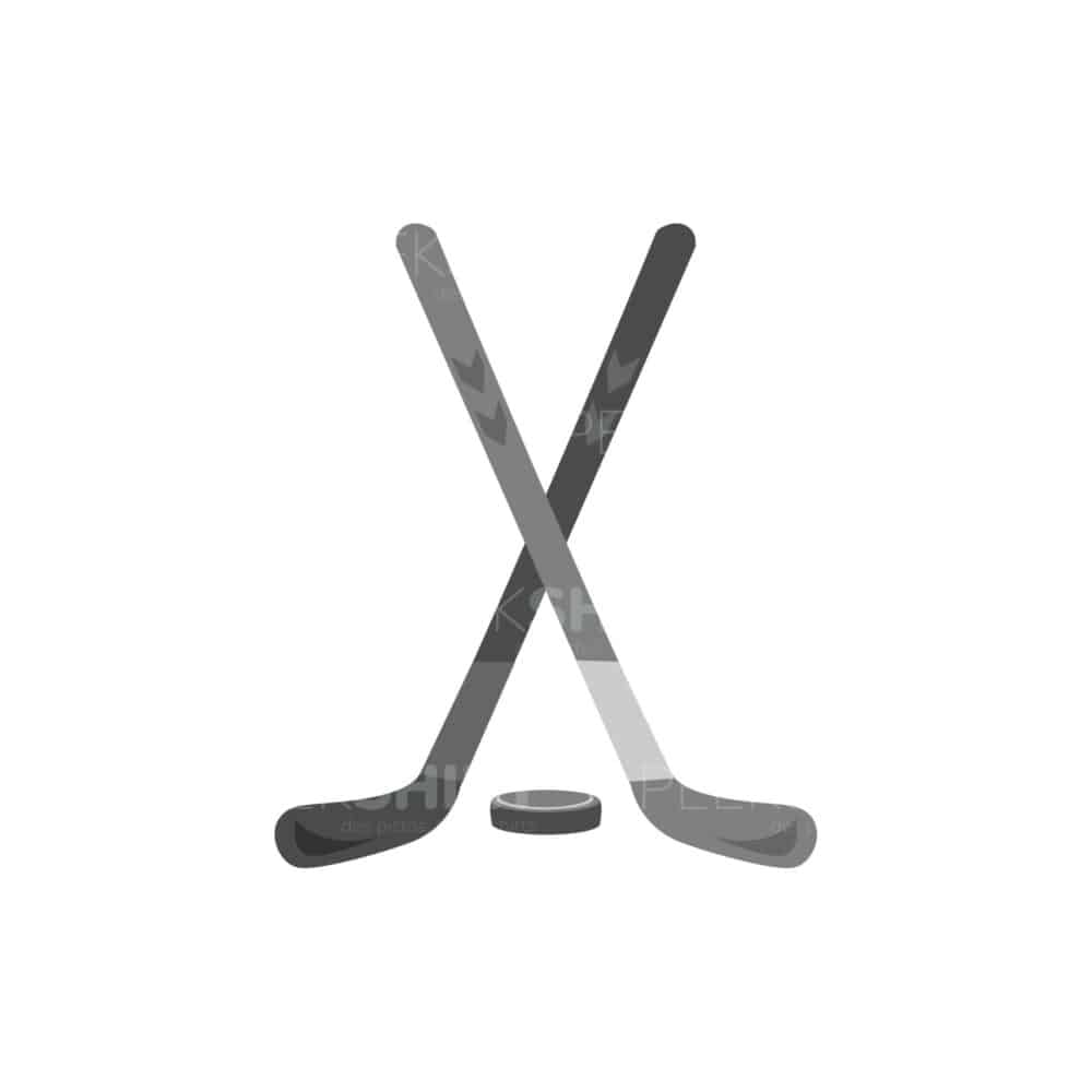 00805 TS BLANC crosse de hockey