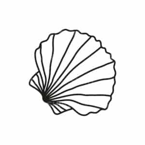 01195 TS BLANC coquillage