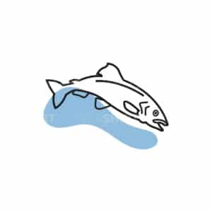 01198 TS BLANC poisson