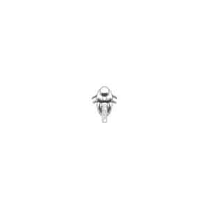 01279 TS BLANC sportive face