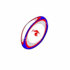 01789 TS BLANC Ballon de Rugby