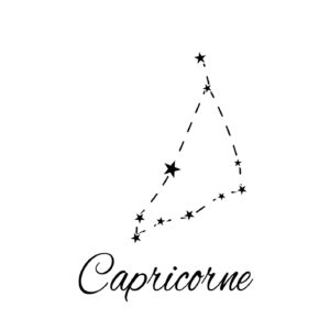 01966 TS BLANC Signe Astrologique Capricorne - constellation